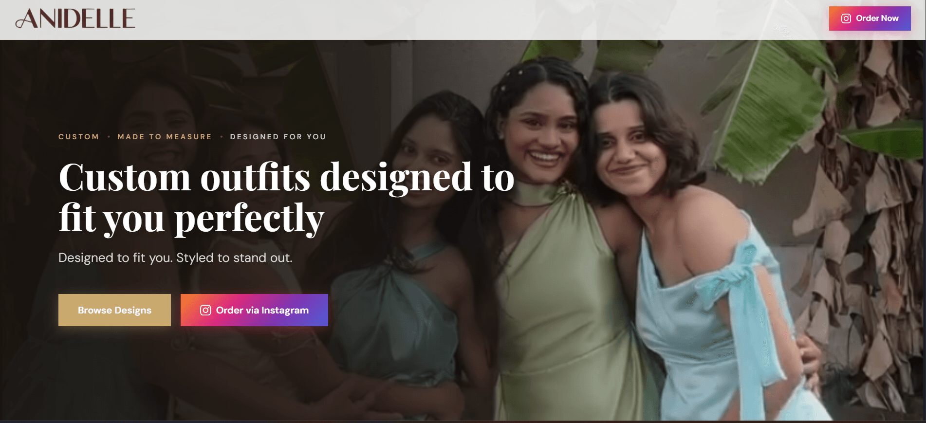 Anidelle website preview